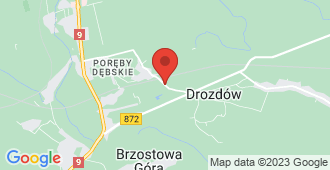 Borowa 39, 39-460 Nowa Dęba, Polska mapa