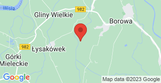 Borowa 551, 39-305, Polska mapa