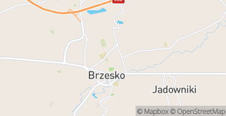 Brzesko, powiat brzeski, województwo małopolskie, Polska mapa